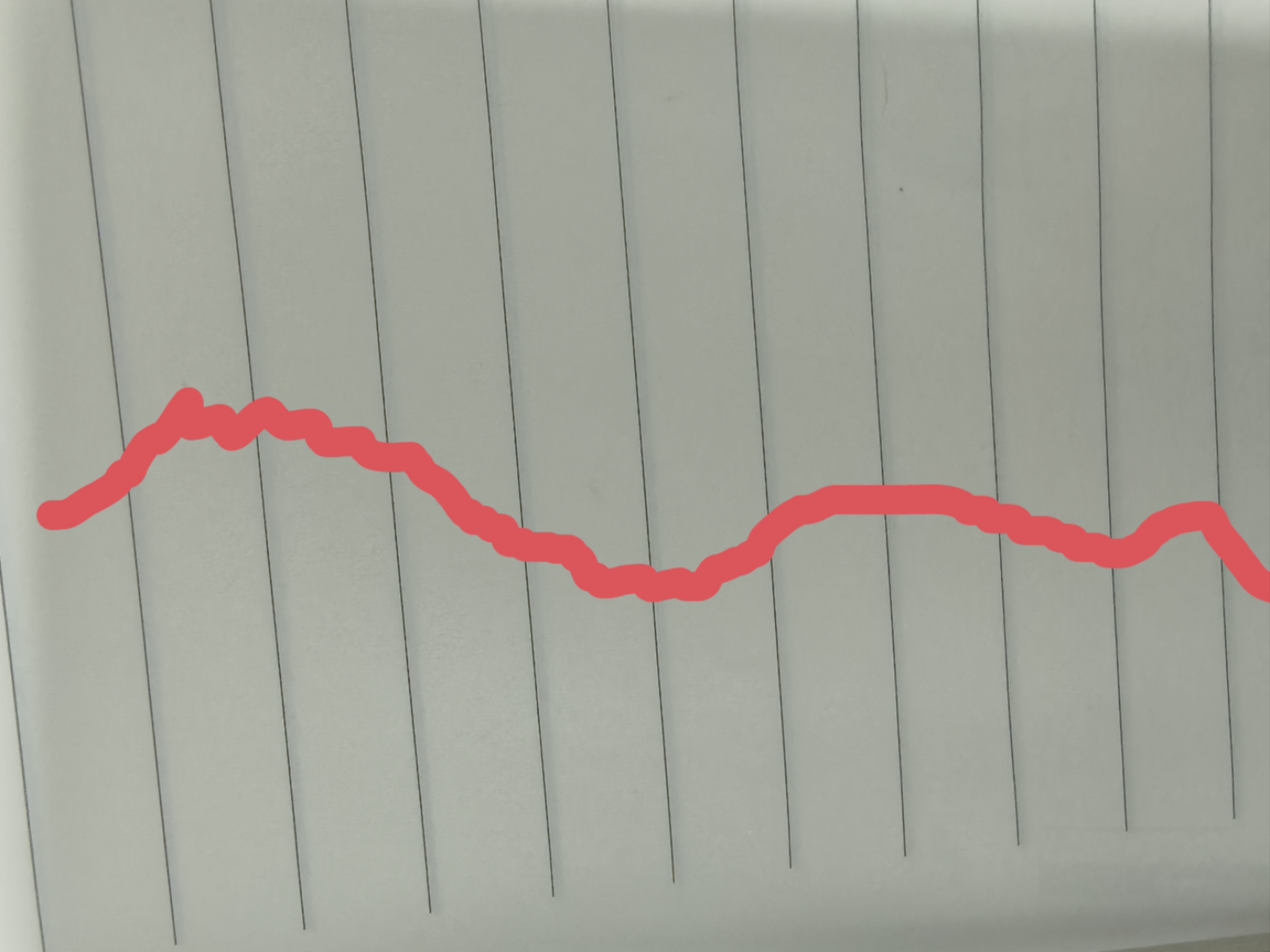 新聞動(dòng)態(tài)